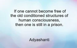 If one cannot become free of the old conditioned structures of human consciousness, then one is still in a prison." ~ Adyashanti