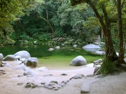 Zen River - Mossman Gorge in Queensland, Australia