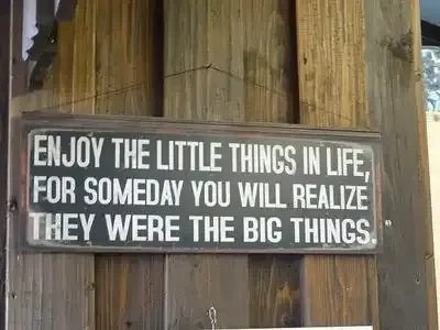  “Enjoy the little things in life, for someday you will realize they were big things” Quote from Kurt Vonnegut by Robert Brault on wikipedia