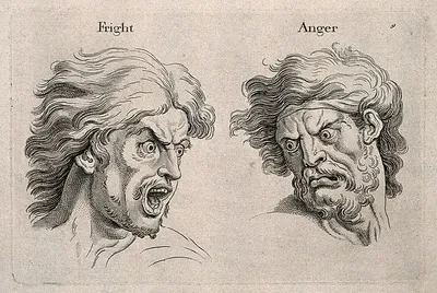A frightened and an angry face, left and right respectively - Wellcome Collection on Wikimedia