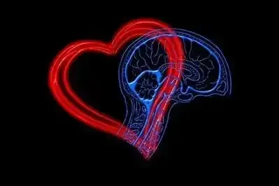 Heart, Mind, Emotional Intelligence by geralt on Pixabay