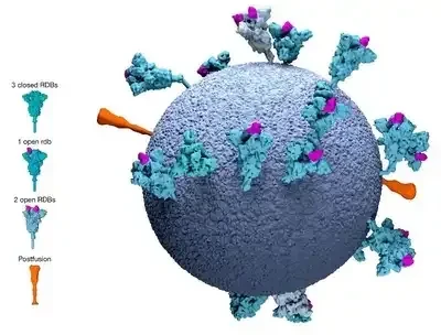 Image from MRC Laboratory of Molecular Biology