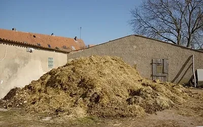 Misthaufen - Dung heap by  Alexander Rahm on Wikimedia