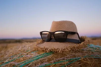 Black framed wayfarer-style sunglasses on brown hat on pickpik