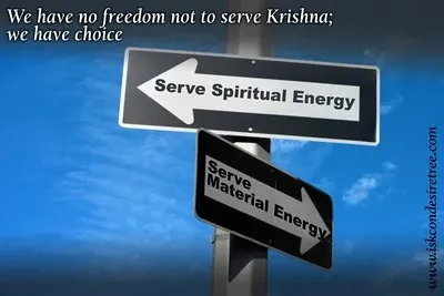 We have no freedom not to serve Krishna; we have choice quote on flickr