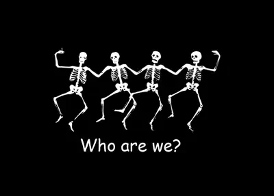 white • black • who we are • Skeletons on goodfon