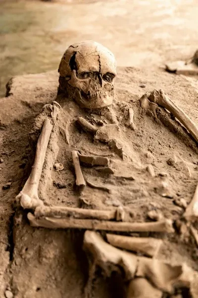 Human Skull and Skeleton Lying at Excavated Burial Site by Boris Hamer on pexels