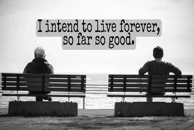 I intend to live forever, so far so good by  ann dizon on flickr