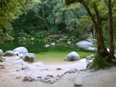 Zen River - Mossman Gorge in Queensland, Australia