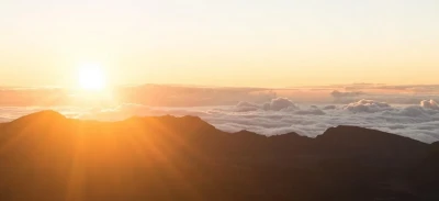 Alice Donovan Rouse on Unsplash